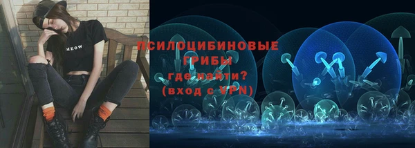 стафф Абаза